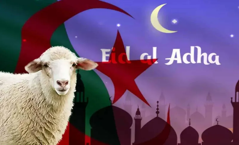 Arafat Day 2025: When will this holy day for Muslims take place?