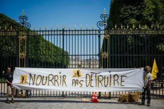 French Constitutional Council: Duplomb Law Censured, Municipal Elections Reformed