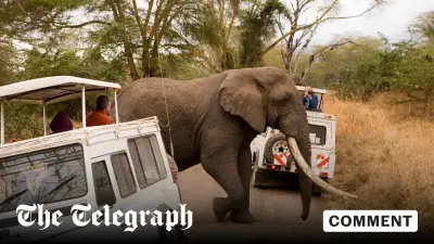 Namibia: Untamed Beauty or Deadly Safari?